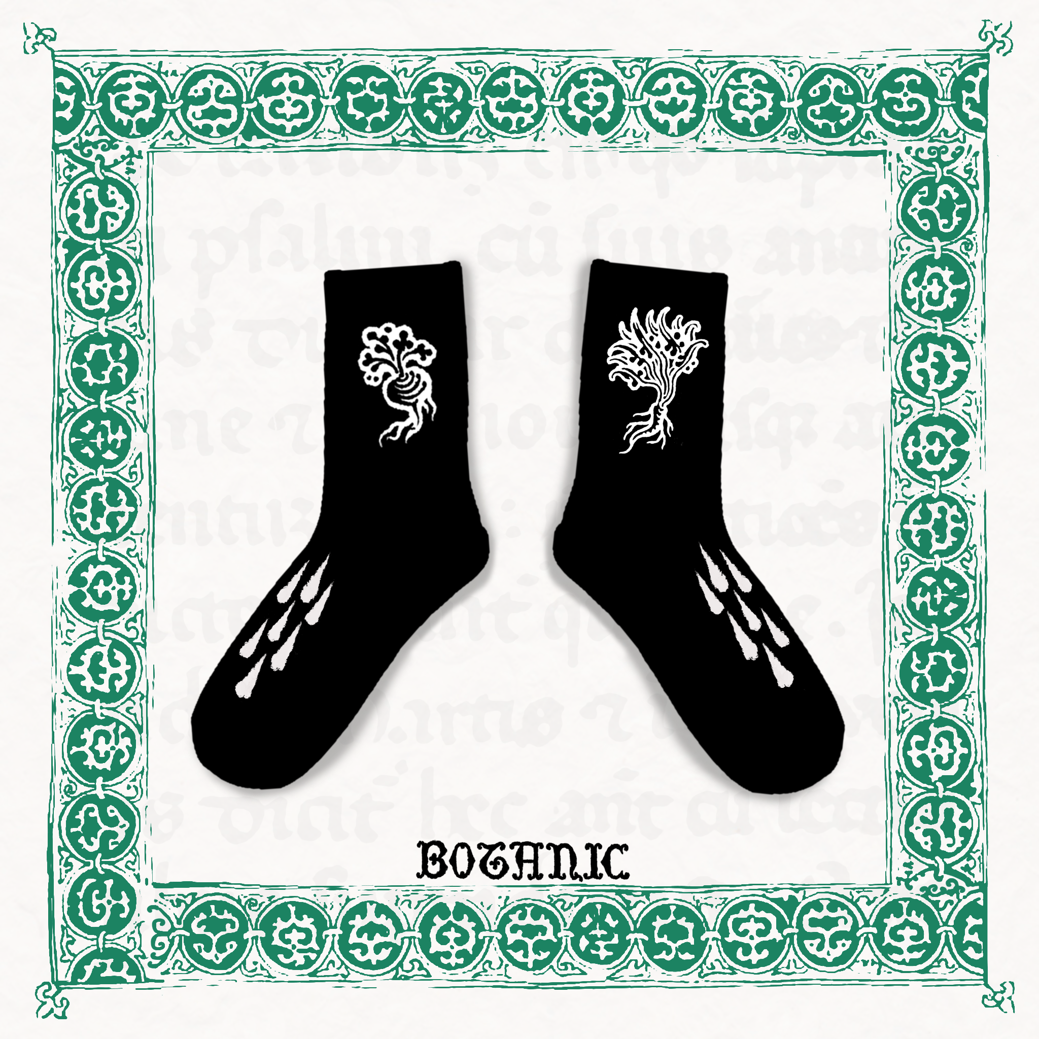 BOTANIC SOCKS