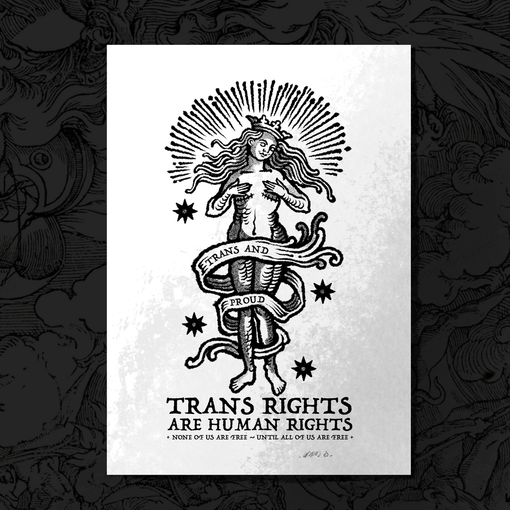 TRANS RIGHTS
